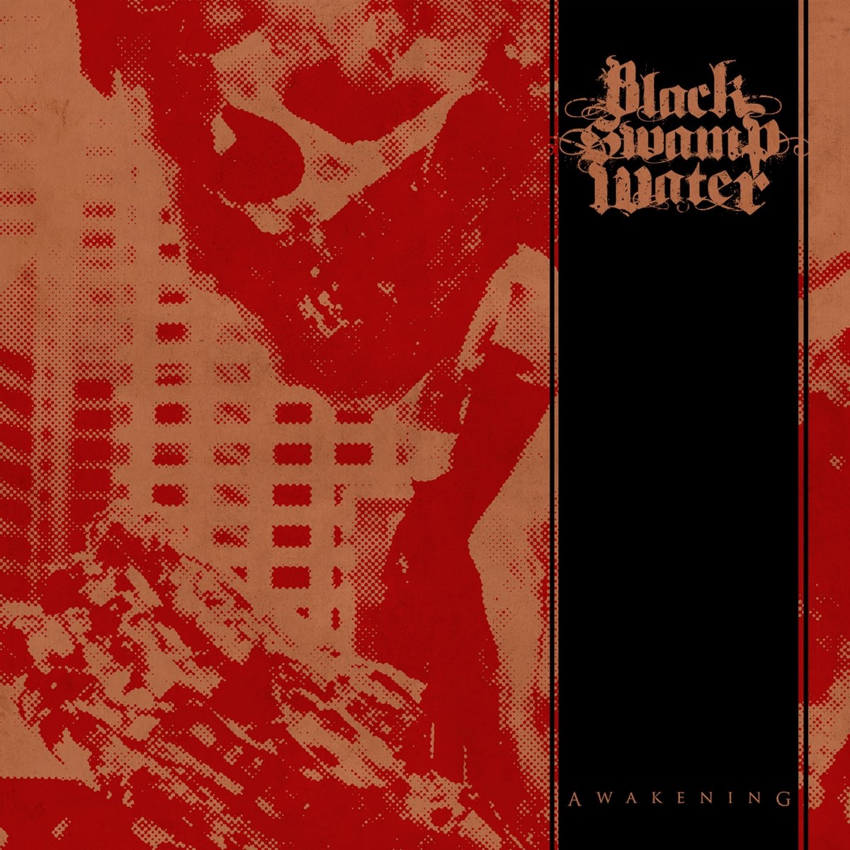 Afbeelding van Black Swamp Water - Awakening