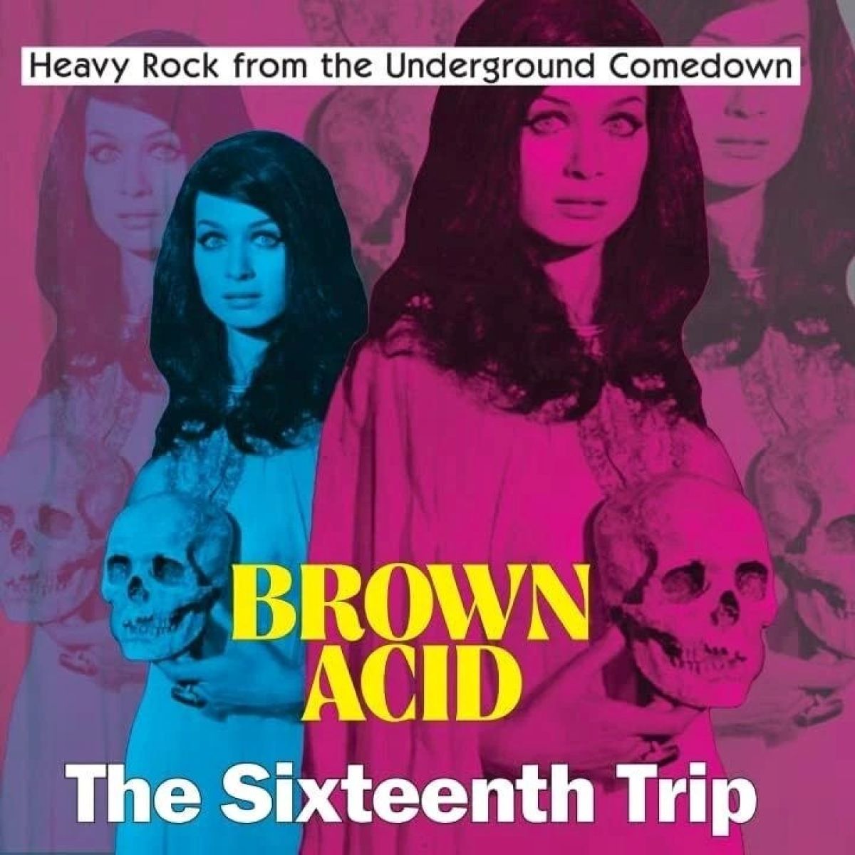 Afbeelding van Various Artists - Brown Acid: The Sixteenth Trip
