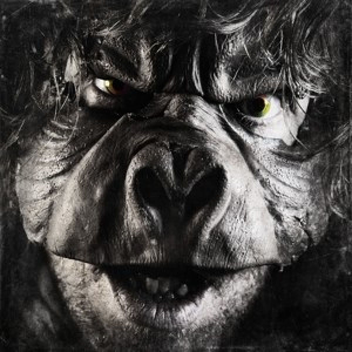 Afbeelding van Beyond Ugly