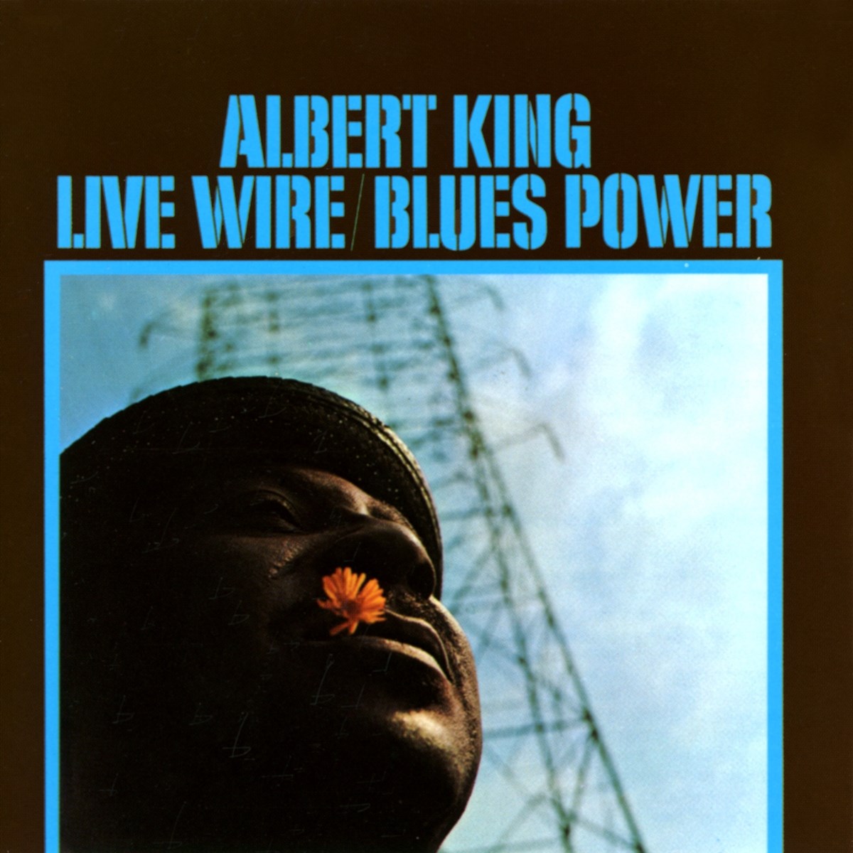 Afbeelding van Albert King - Live Wire / Blues Power