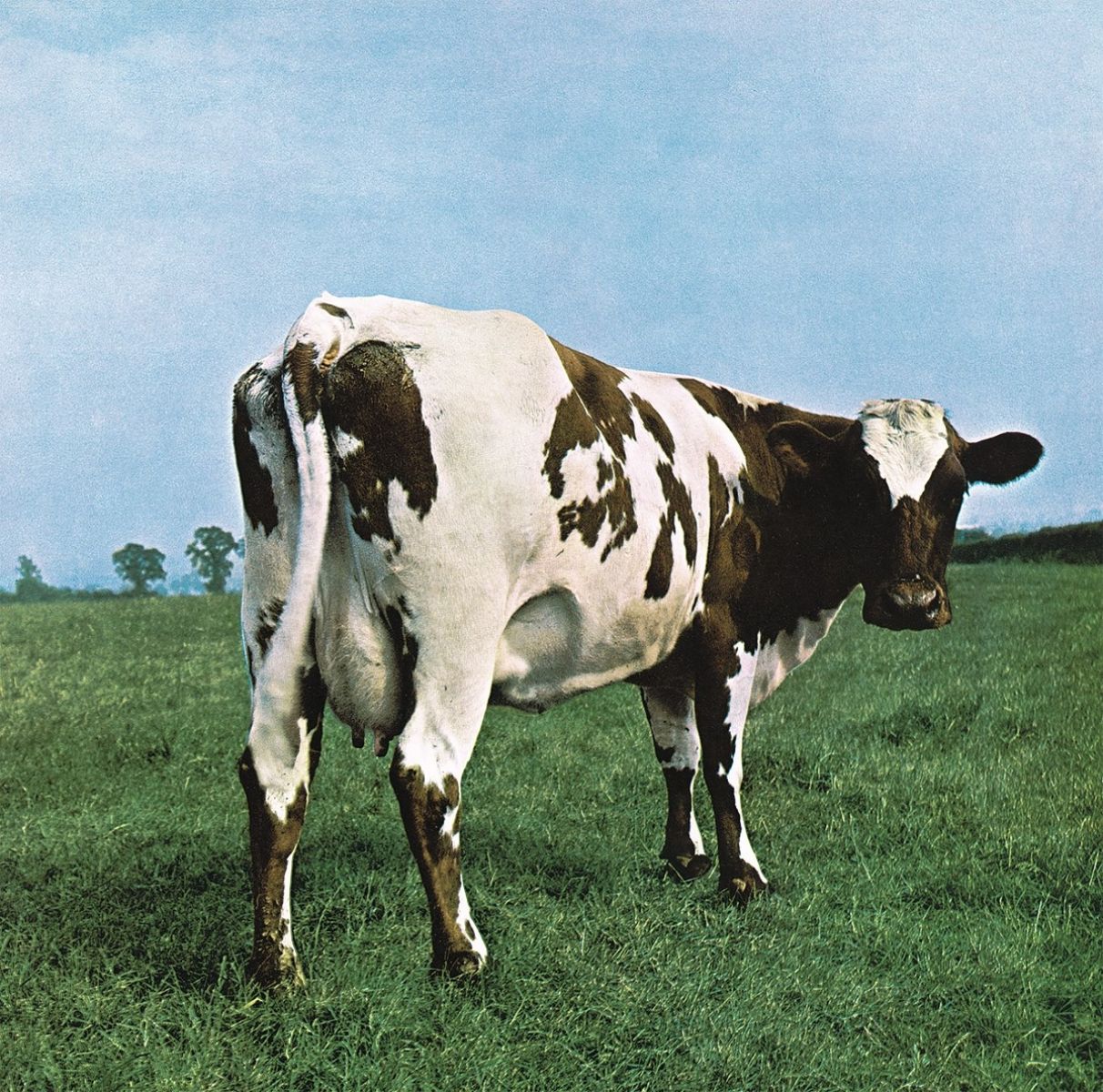 Afbeelding van Pink Floyd - Atom Heart Mother