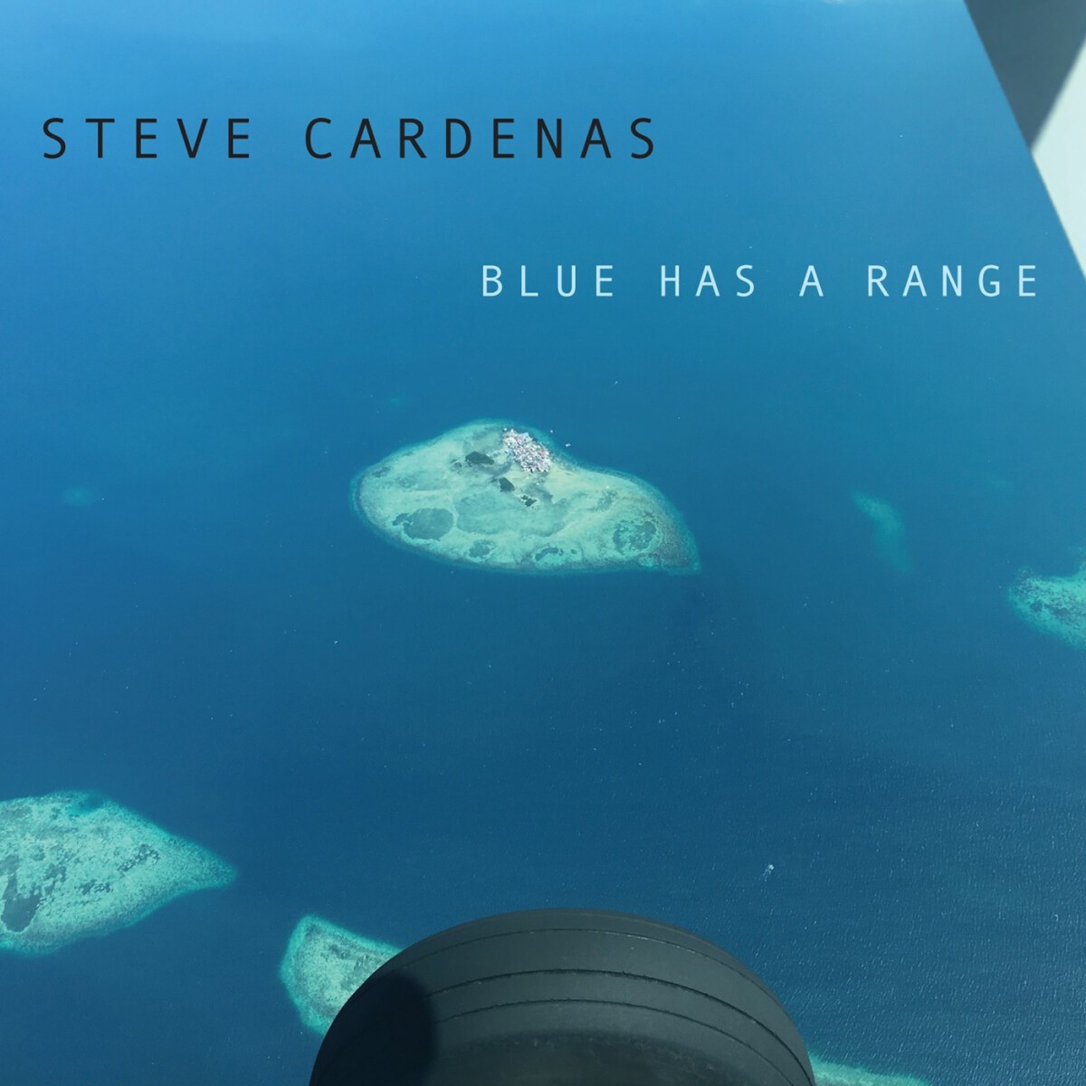 Afbeelding van Steve Cardenas - Blue Has A Range