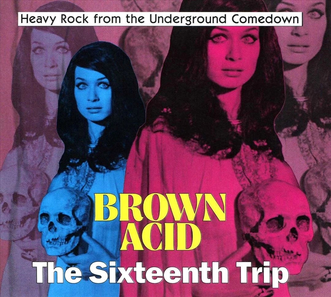 Afbeelding van Various Artists - Brown Acid: The Sixteenth Trip