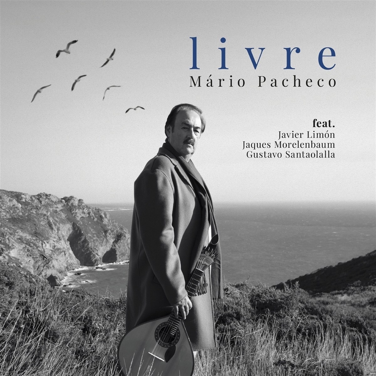 Afbeelding van Mário Pacheco - Livre