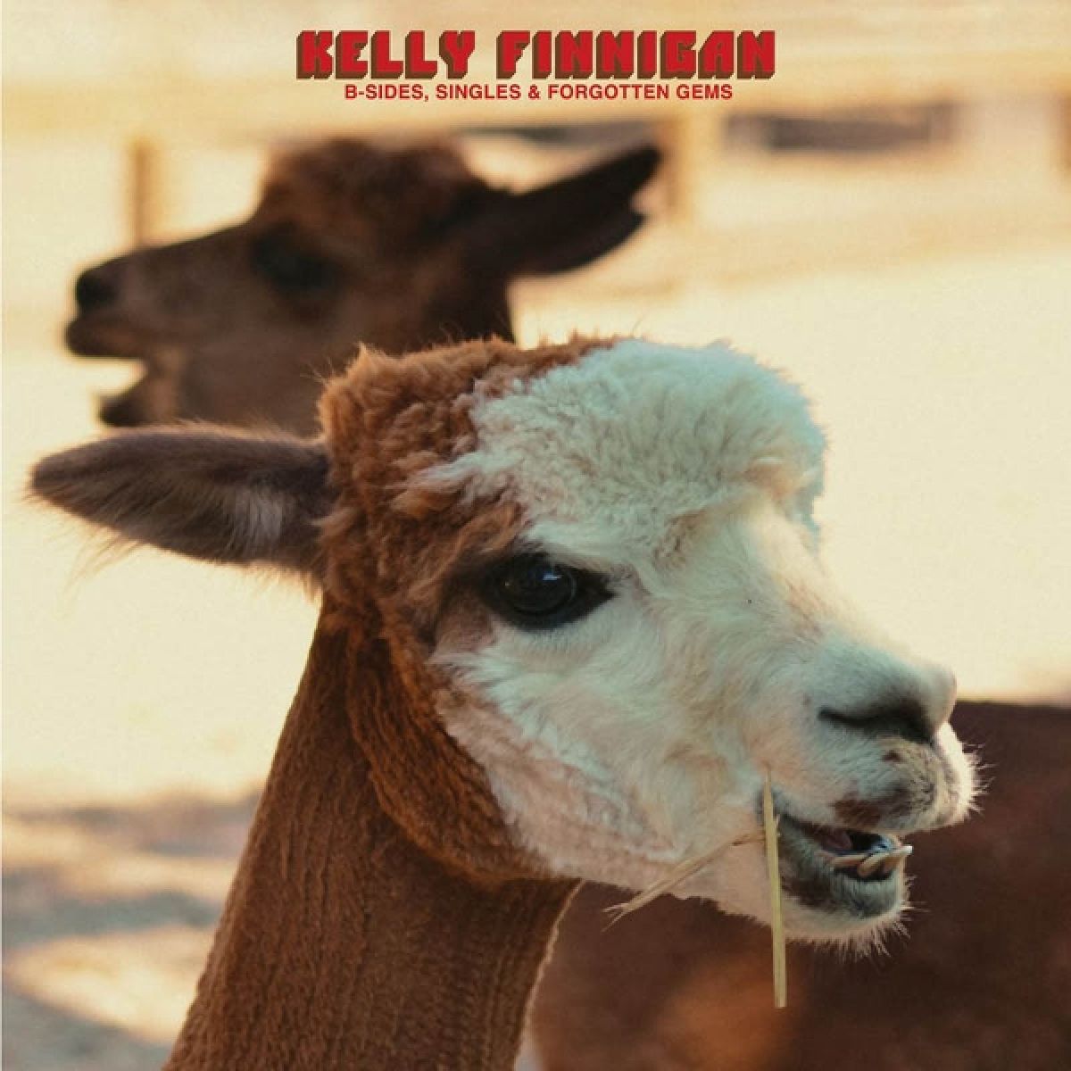 Afbeelding van Kelly Finnigan - B-Sides, Singles & Forgotten Gems