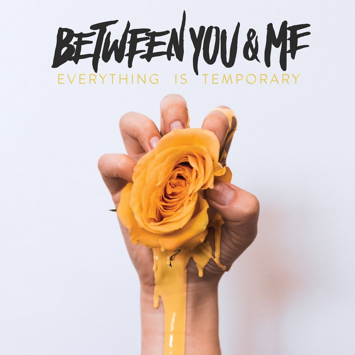 Afbeelding van Between You and Me - Everything Is Temporary
