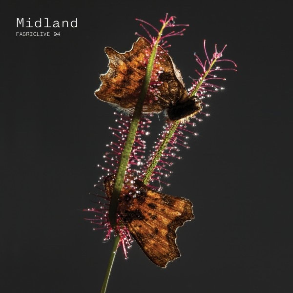 Afbeelding van Midland - Fabriclive 94 Midland