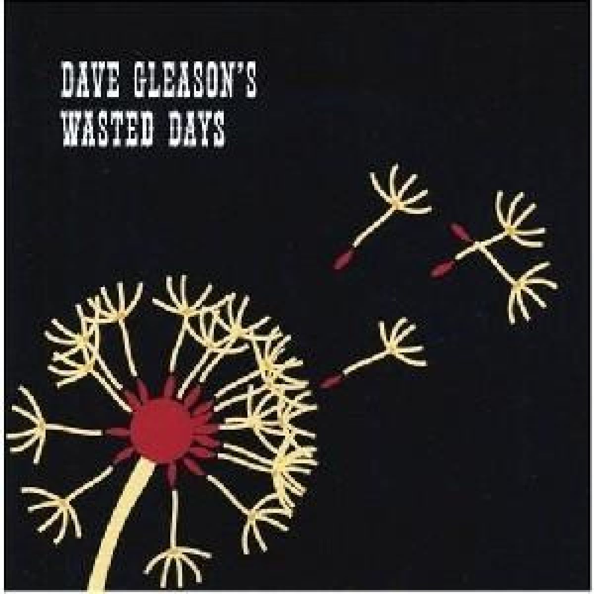 Dave Gleason's Wasted Days - Dave Gleason's Wasted Days