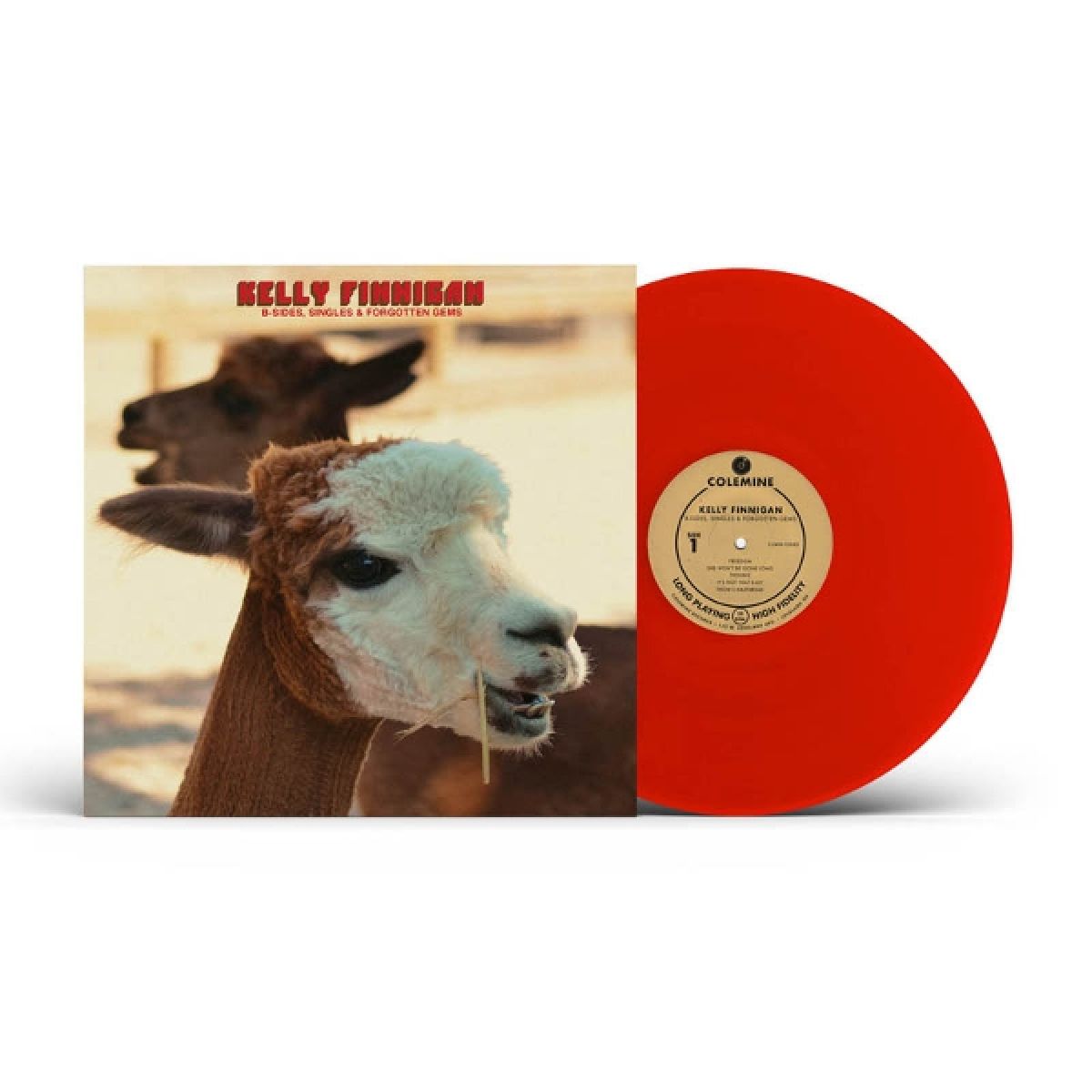 Afbeelding van Kelly Finnigan - B-Sides, Singles & Forgotten Gems