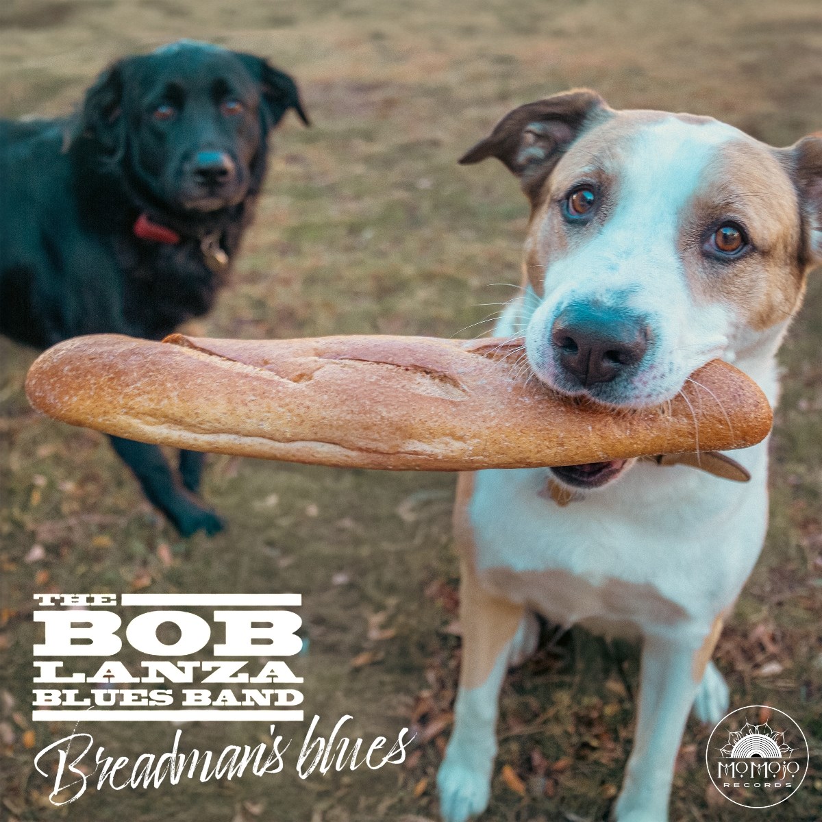 Afbeelding van Bob Lanza Blues Band - Breadman's Blues