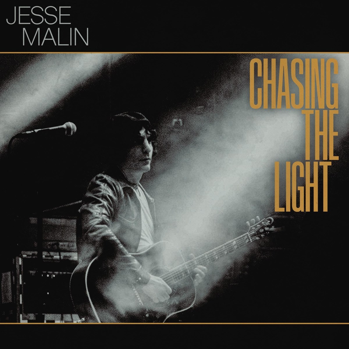 Afbeelding van Jesse Malin - Chasing The Light