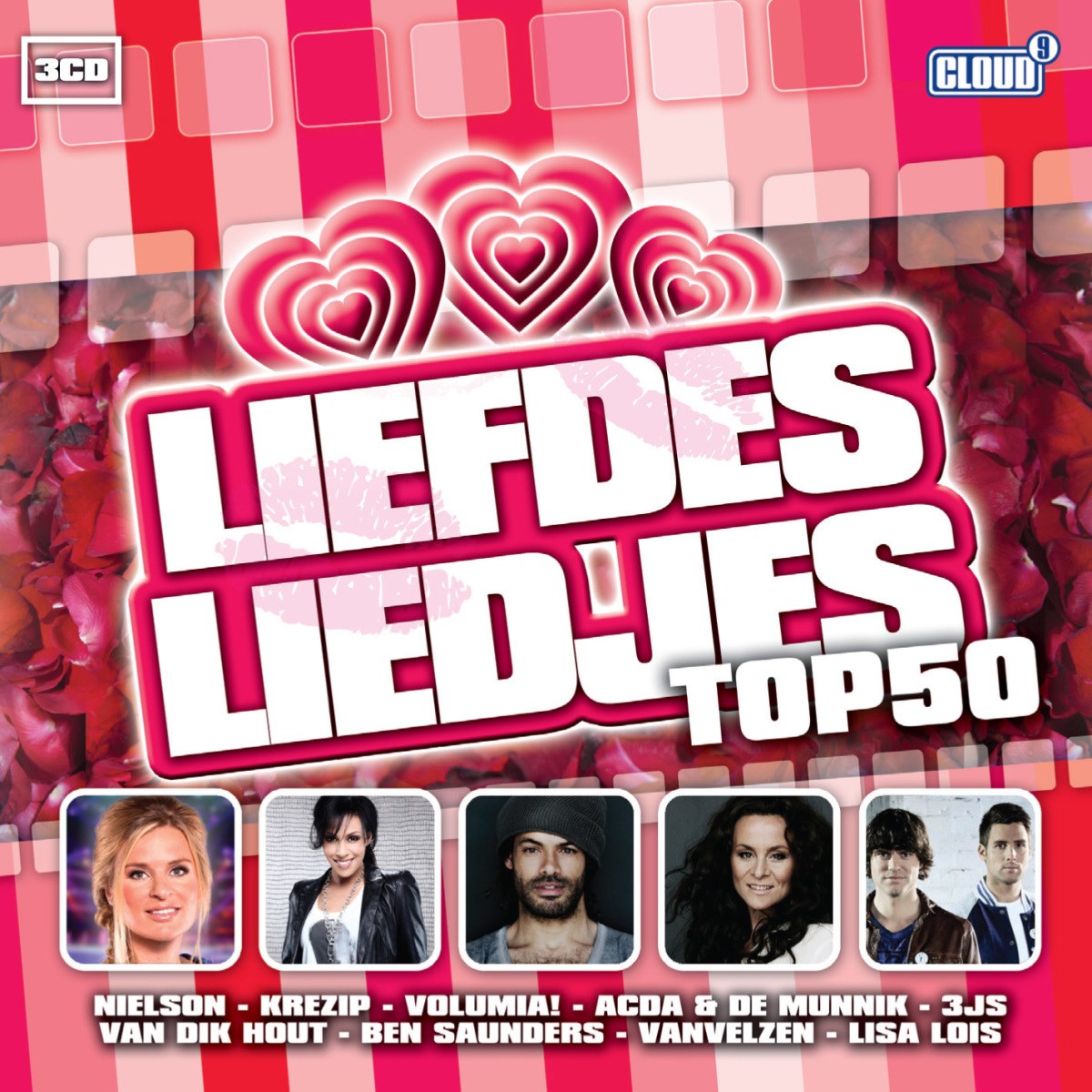 Afbeelding van Liefdesliedjes Top 50