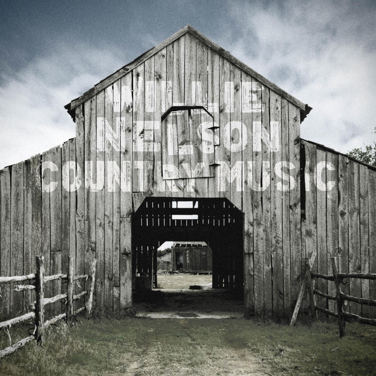 Afbeelding van Willie Nelson - Country Music