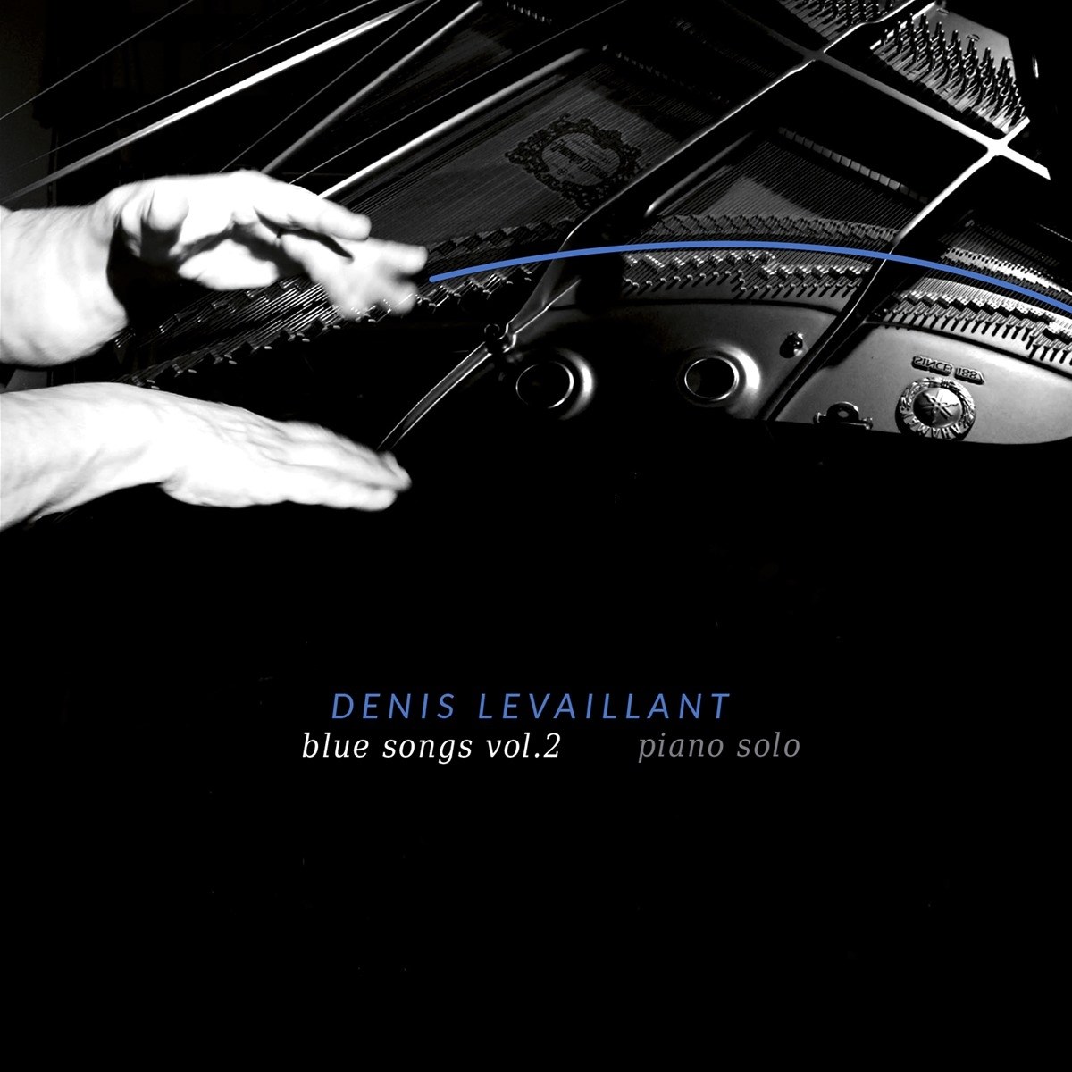 Afbeelding van Denis Levaillant - Blue Songs Vol.2