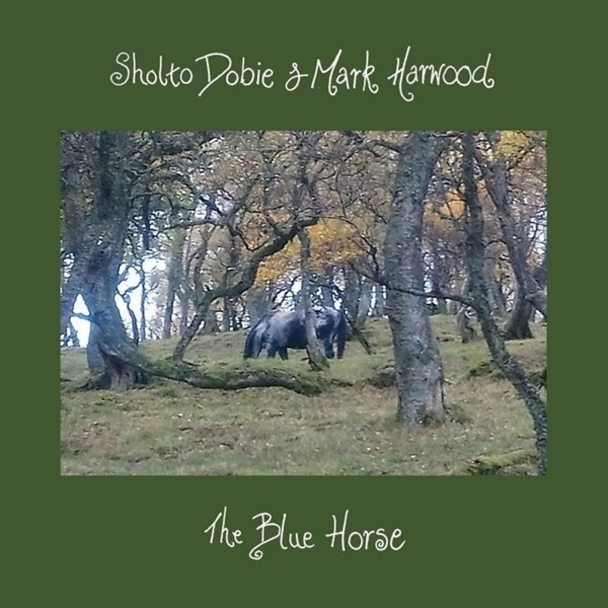 Afbeelding van Sholto Dobie & Mark Harwood - The Blue Horse