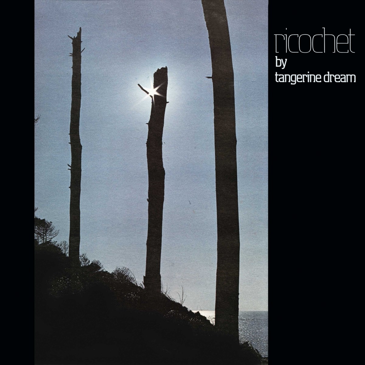 Afbeelding van Tangerine Dream - Ricochet
