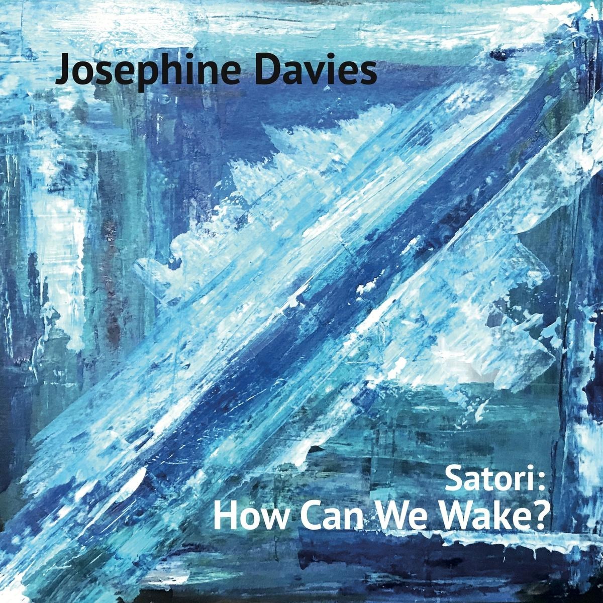 Afbeelding van Josephine Davies - Satori: How Can We Wake?