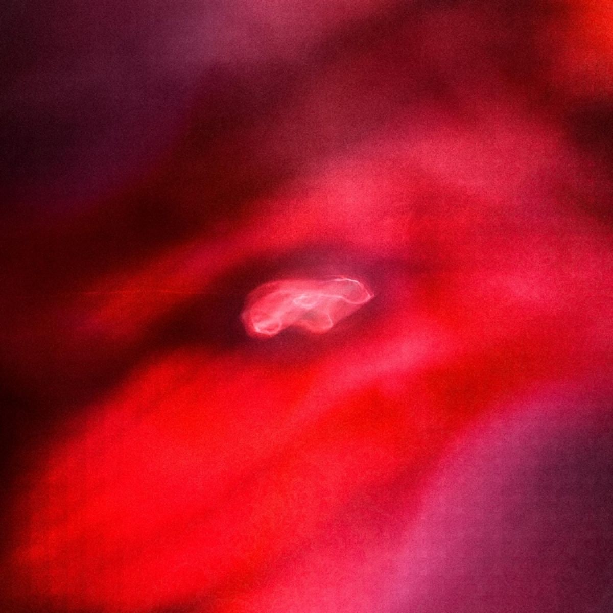 Afbeelding van Siavash Amini & Saffronkeira - The Faded Orbit