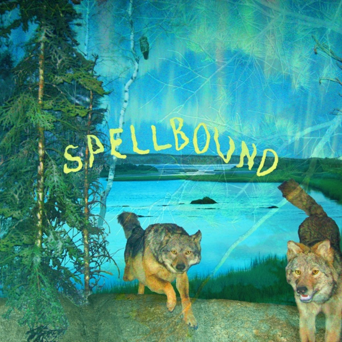 Afbeelding van Boyscott - Spellbound