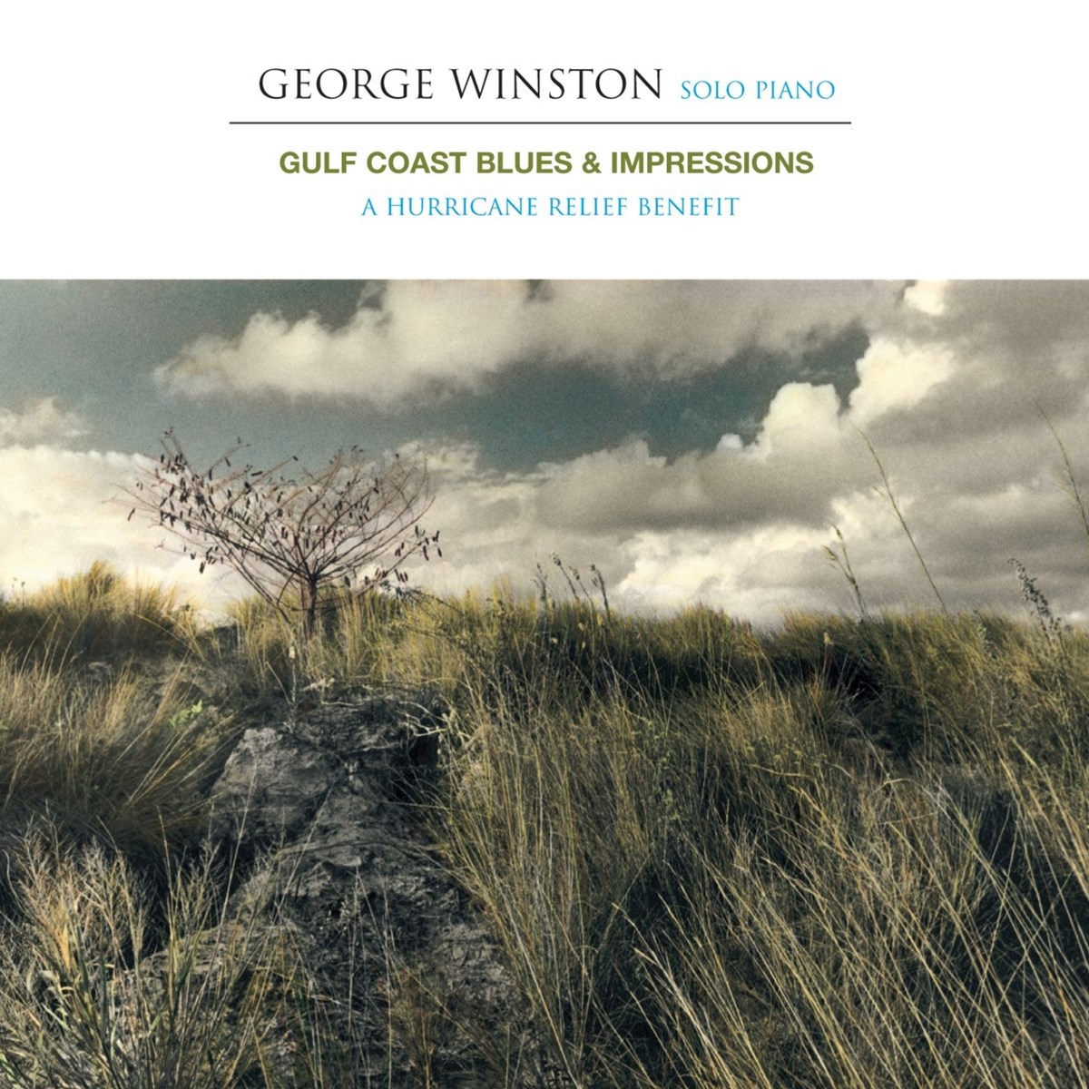 Afbeelding van George Winston - Gulf Coast Blues & Impressions (A Hurricane Relief Benefit)