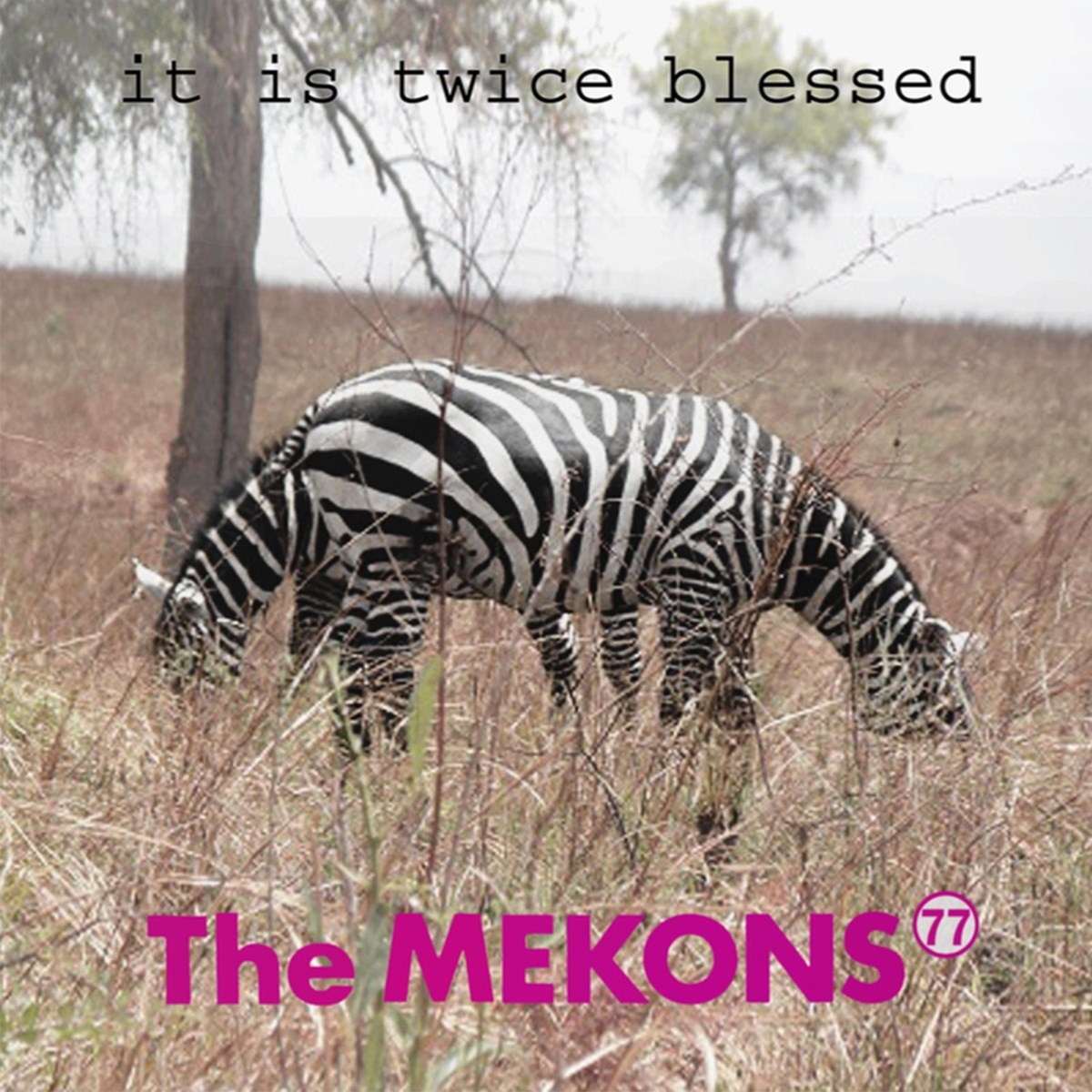 Afbeelding van It Is Twice Blessed