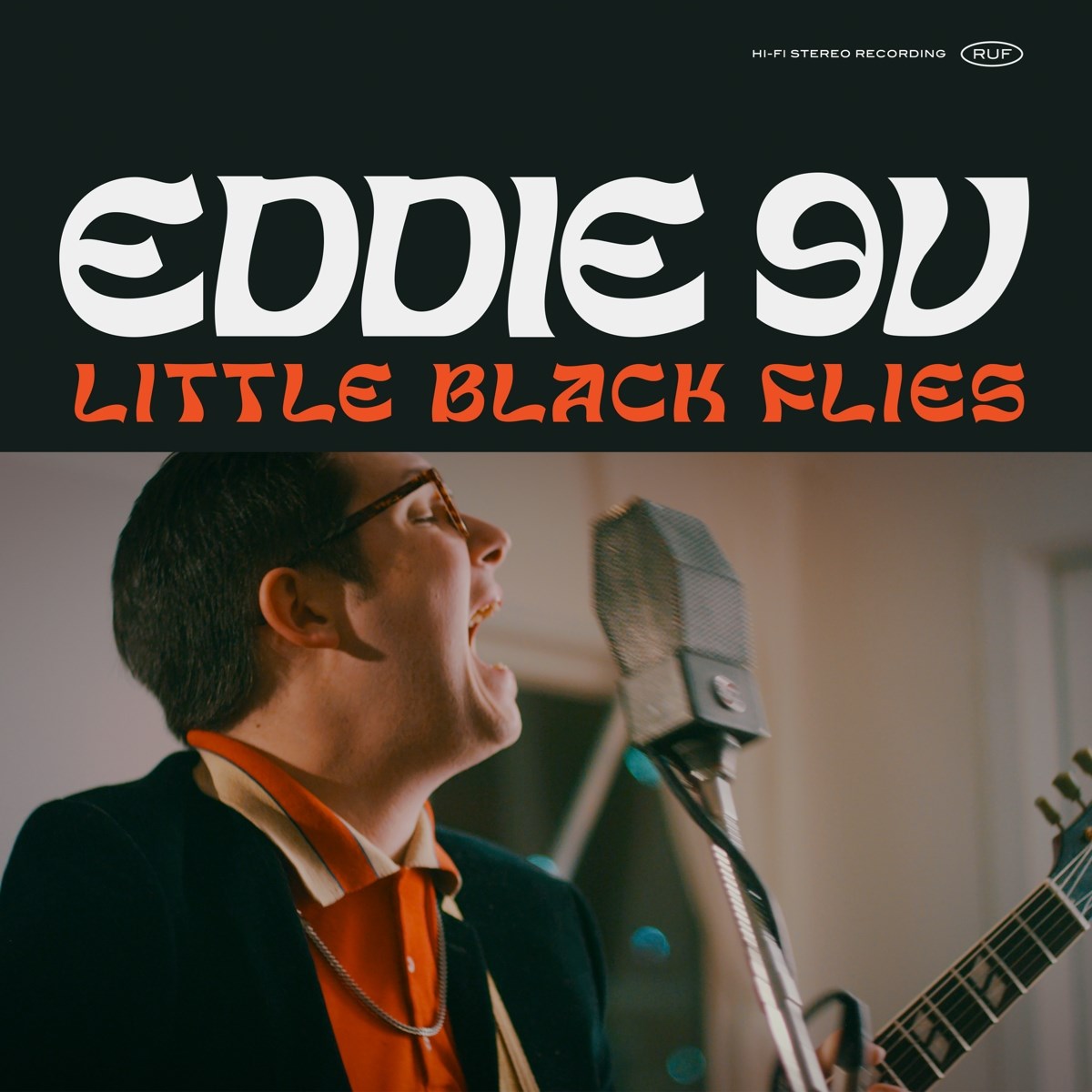Afbeelding van Eddie 9V - Little Black Flies