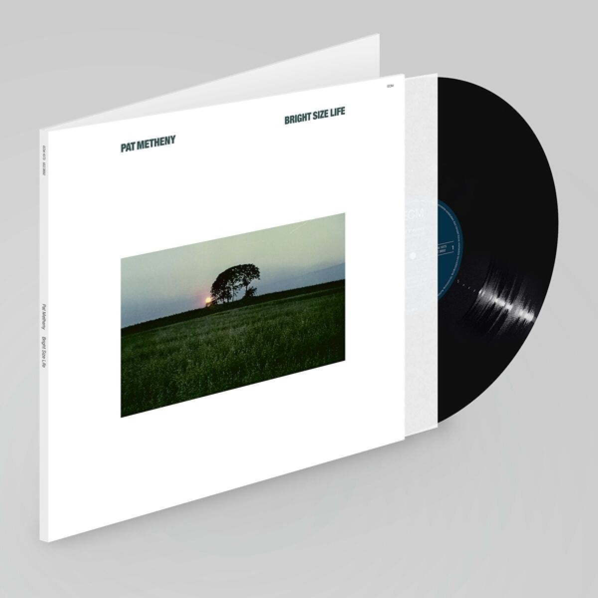 Afbeelding van Bob Moses, Pat Metheny, Jaco Pastorius - Bright Size Life