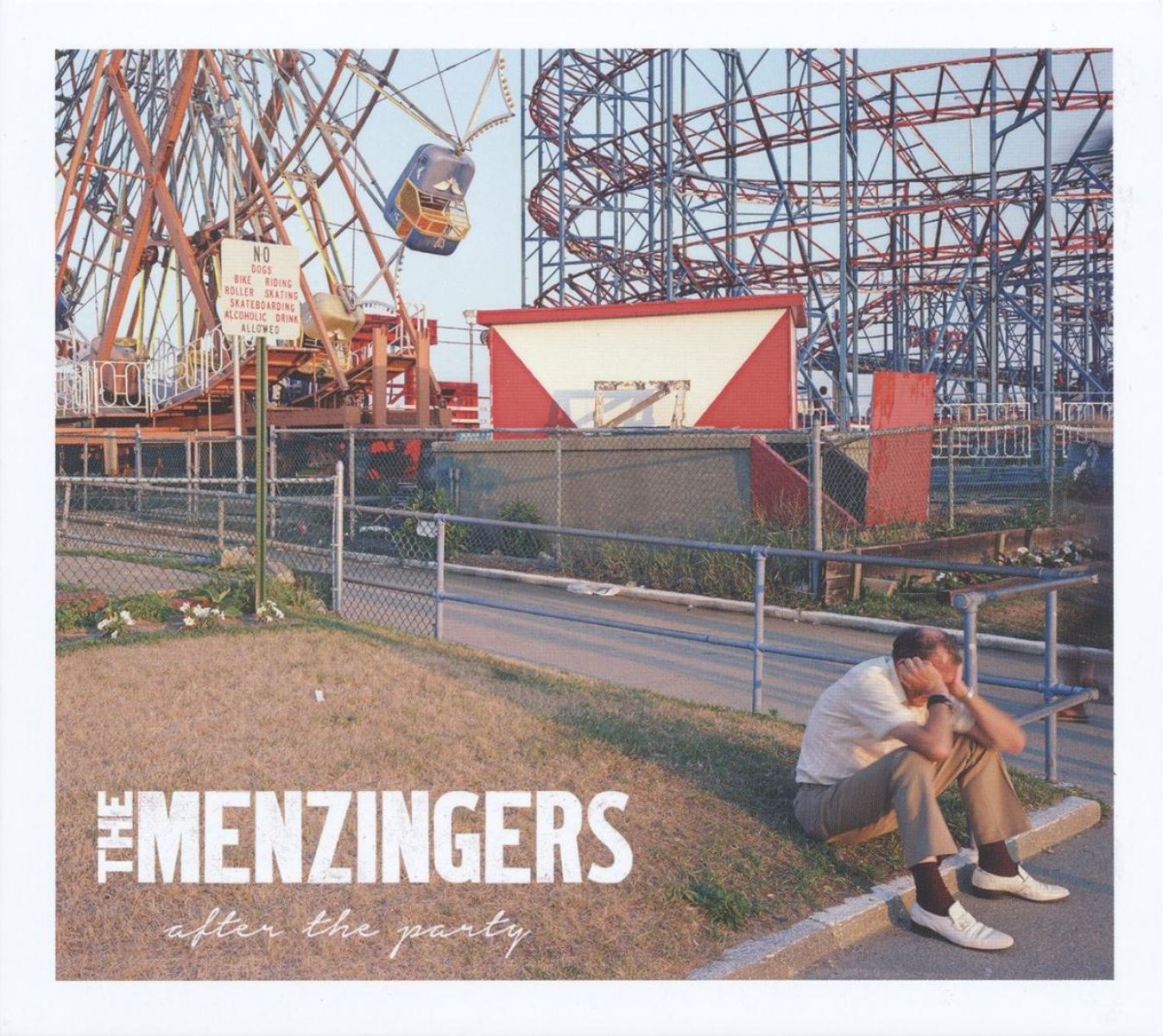 Afbeelding van The Menzingers - After The Party