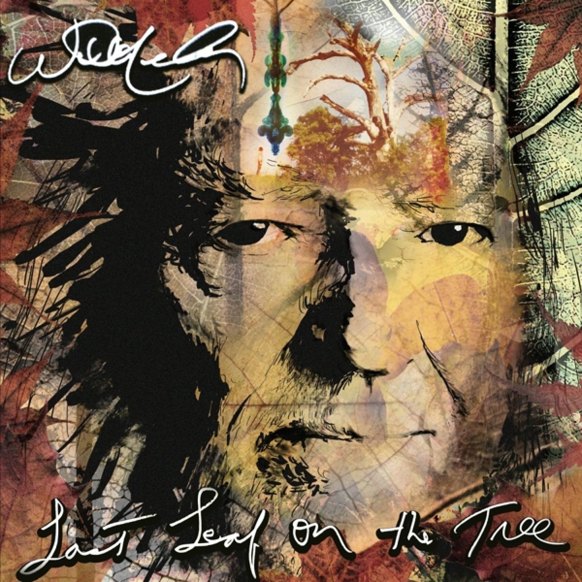 Afbeelding van Willie Nelson - Last Leaf On The Tree