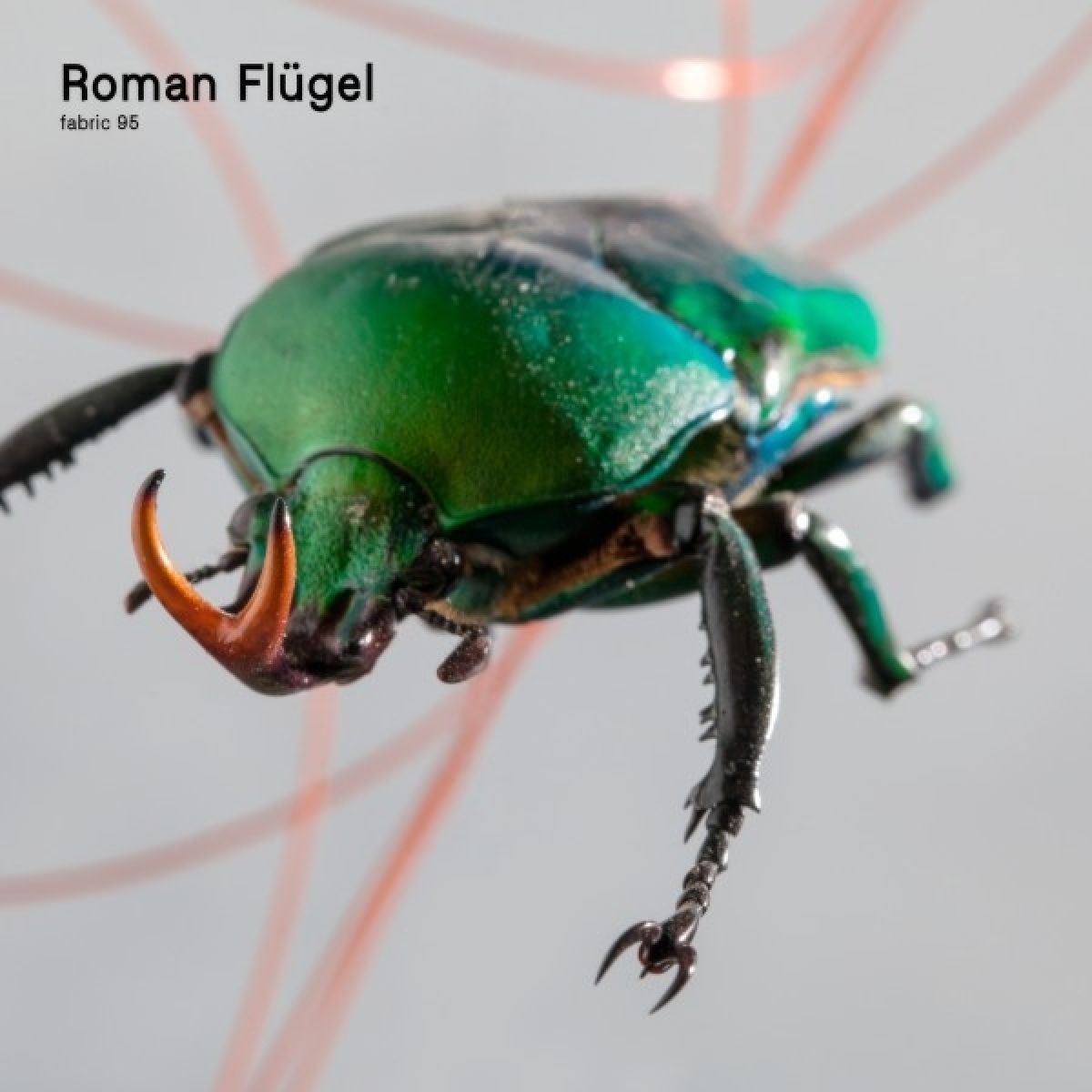 Afbeelding van Roman Flügel - Fabric 95 Roman Fl'gel