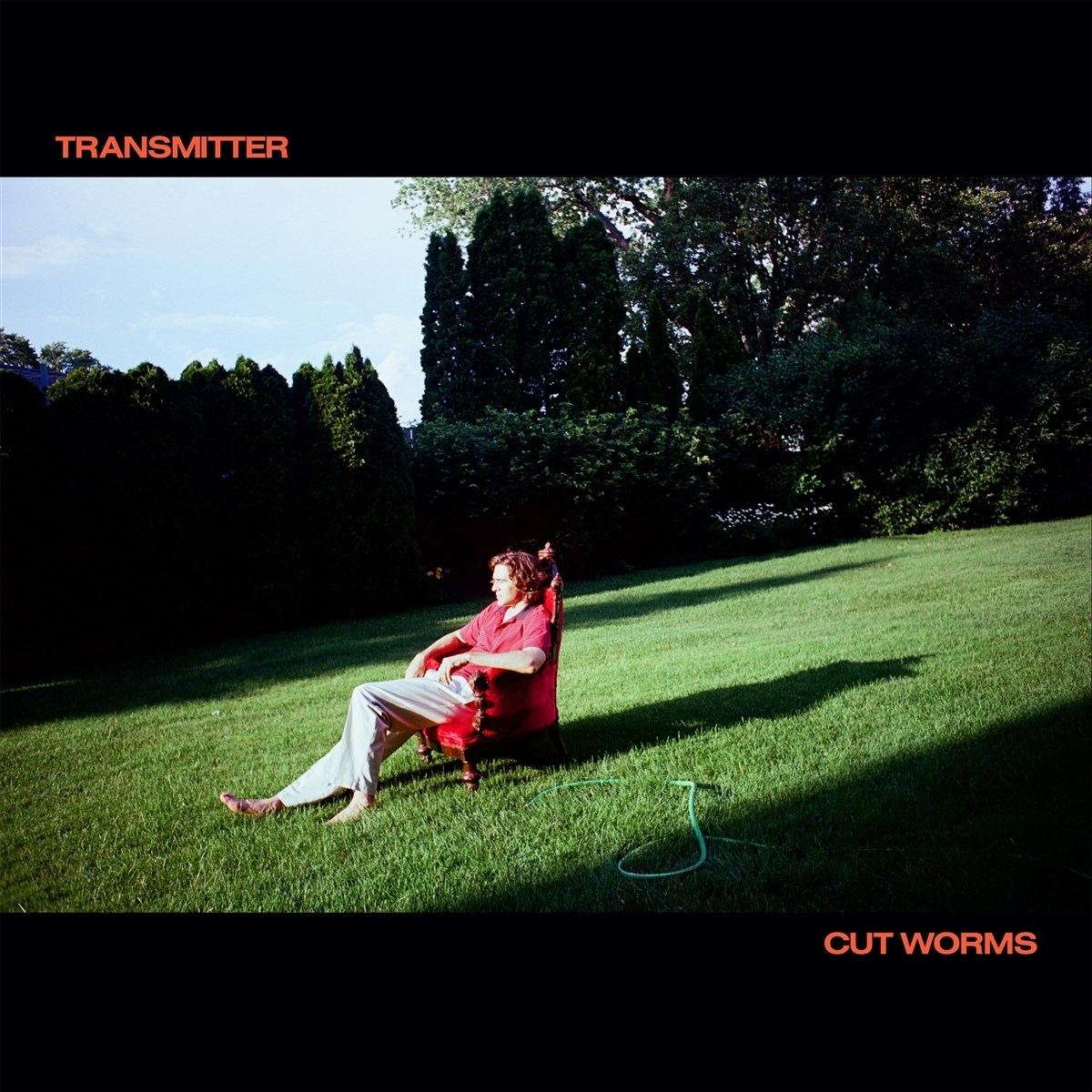 Afbeelding van Cut Worms - Transmitter