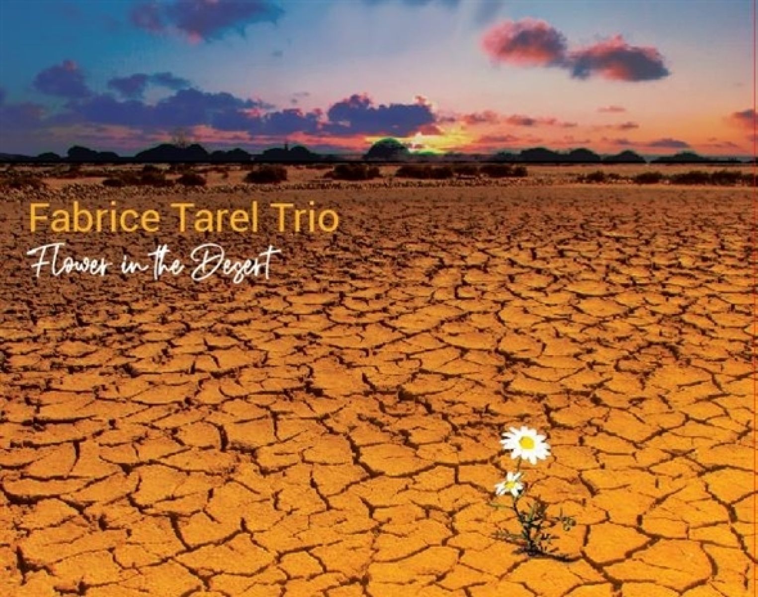 Afbeelding van Fabrice Tarel Trio - Flower In The Desert