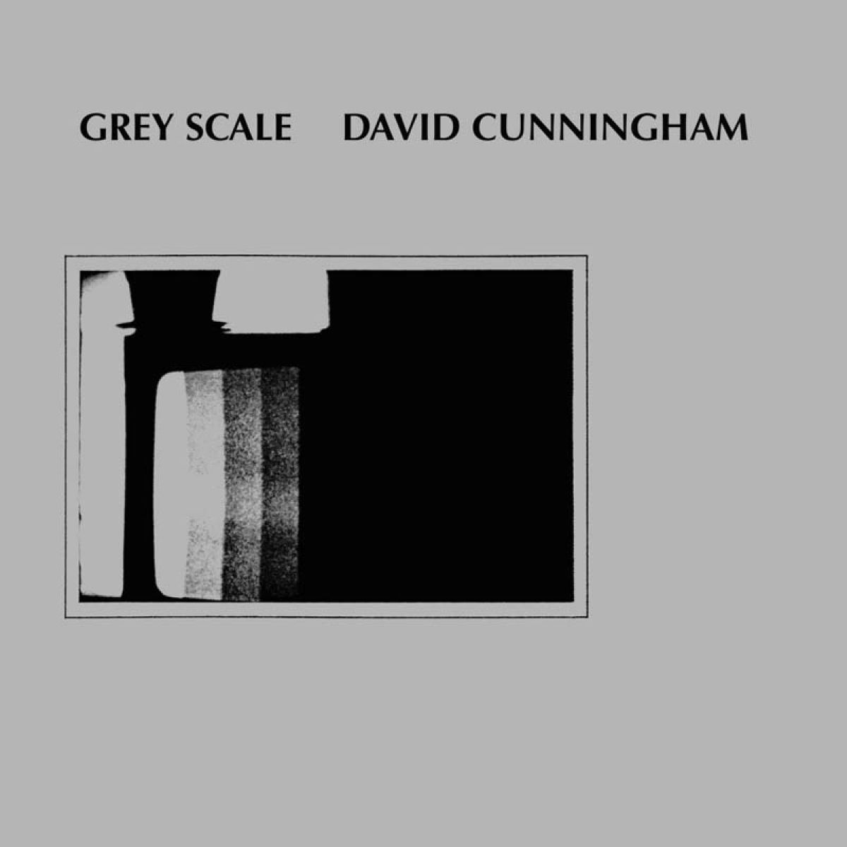 Afbeelding van David Cunningham - Grey Scale