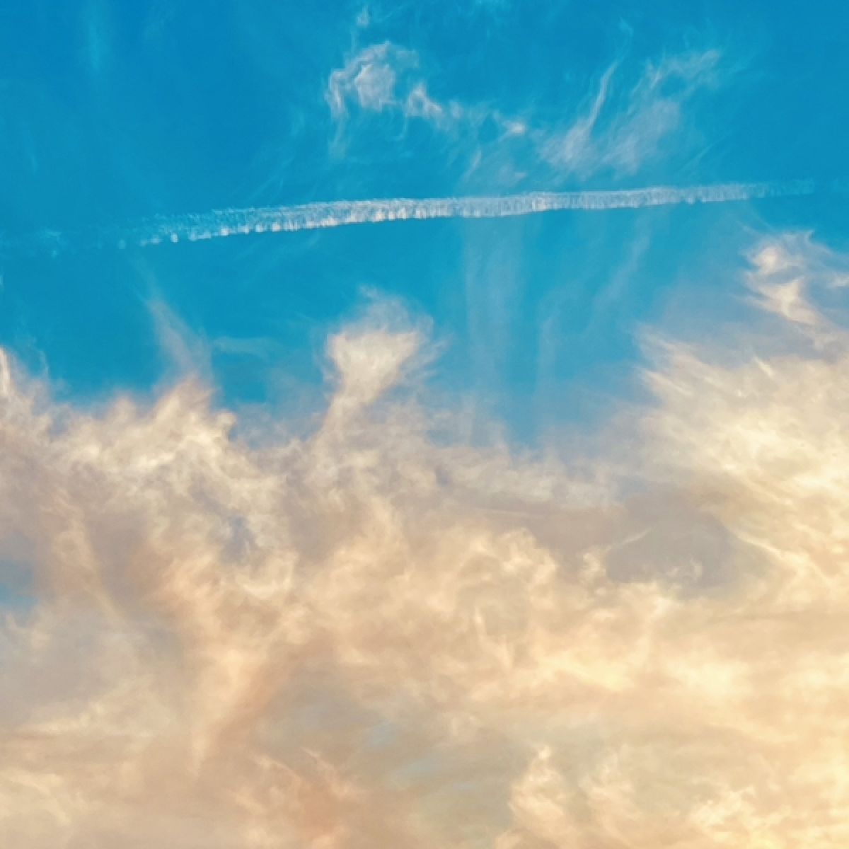 Afbeelding van 30 Seconds To Mars - It's The End Of The World But It's A Beautiful Day