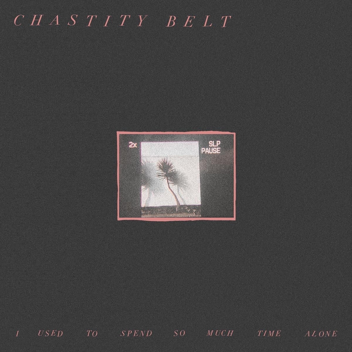 Afbeelding van Chastity Belt - I Used To Spend So Much Time Alone