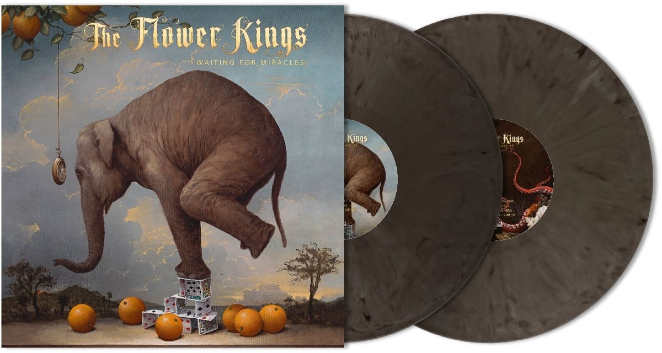 Afbeelding van The Flower Kings - Waiting For Miracles