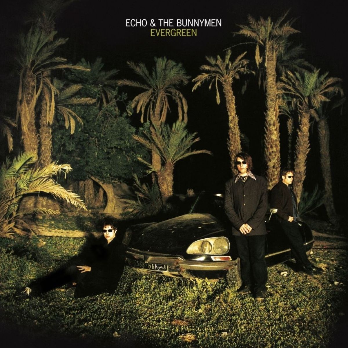 Afbeelding van Echo & The Bunnymen - Evergreen