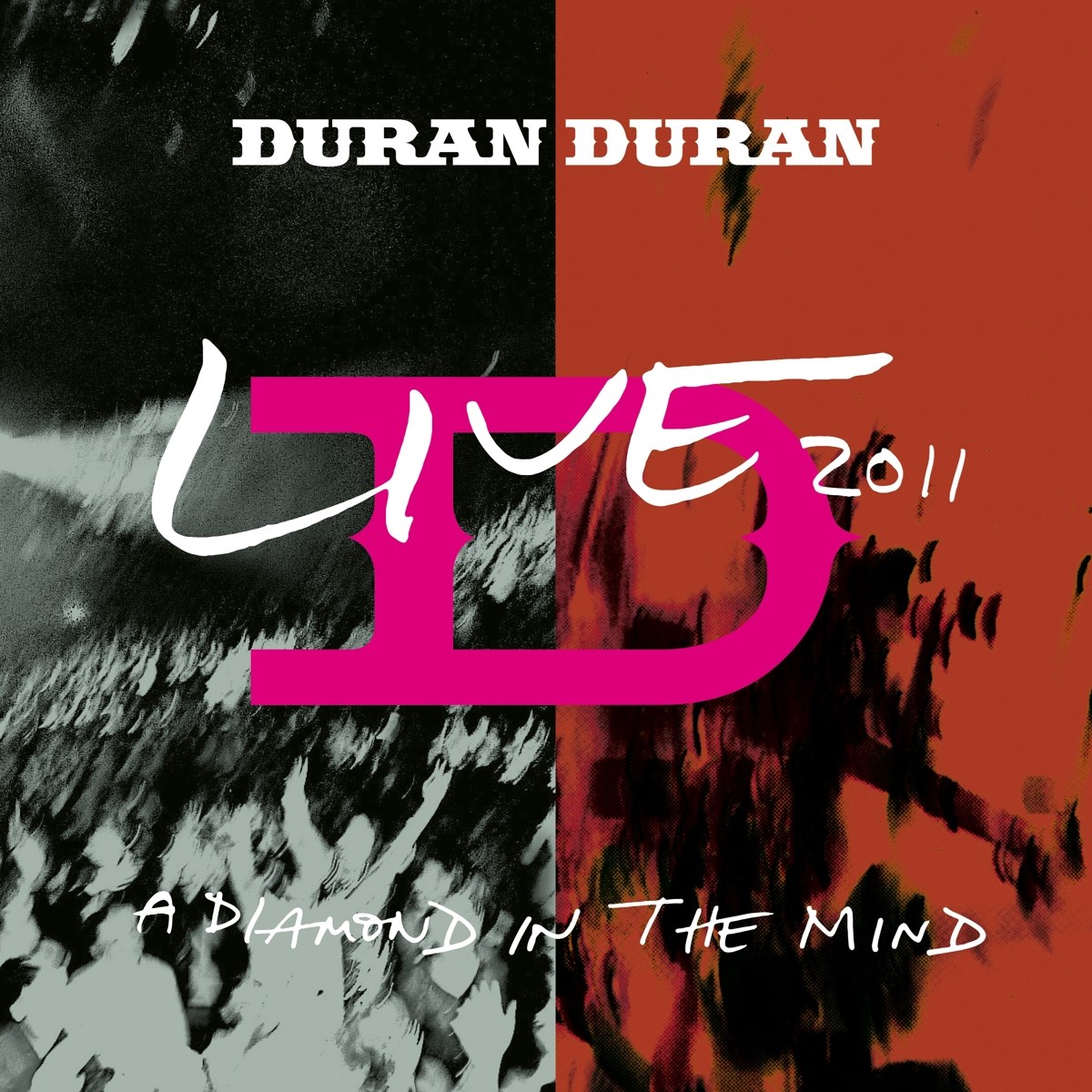 Afbeelding van Duran Duran - Live 2011 (A Diamond In The Mind)
