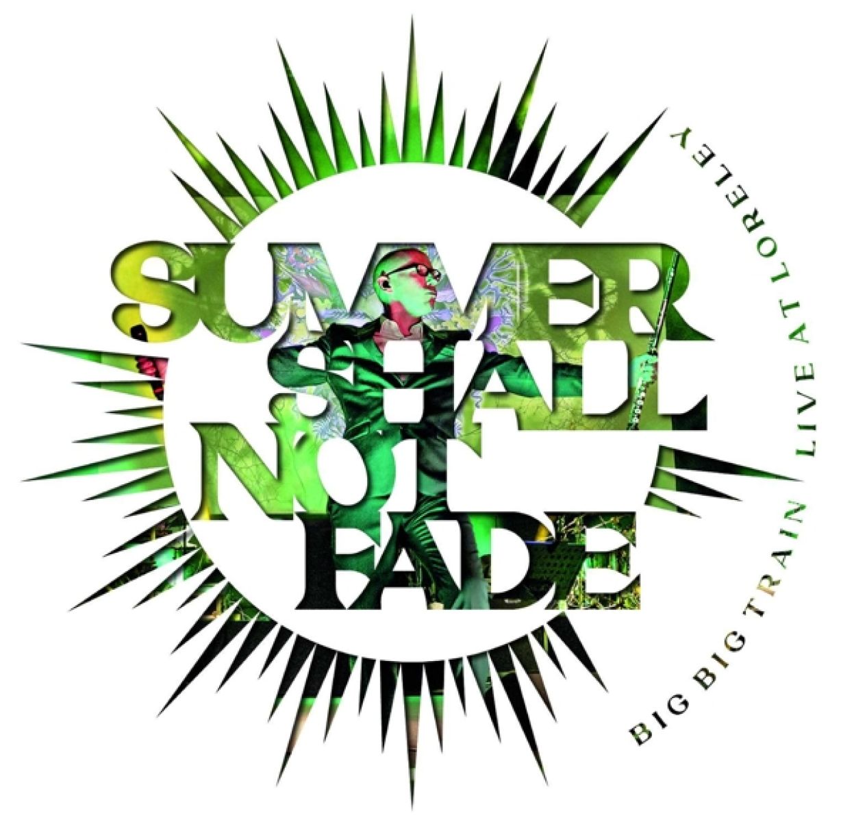 Afbeelding van Big Big Train - Summer Shall Not Fade