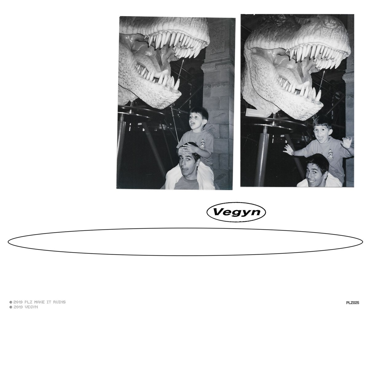 Afbeelding van Vegyn - Only Diamonds Cut Diamonds
