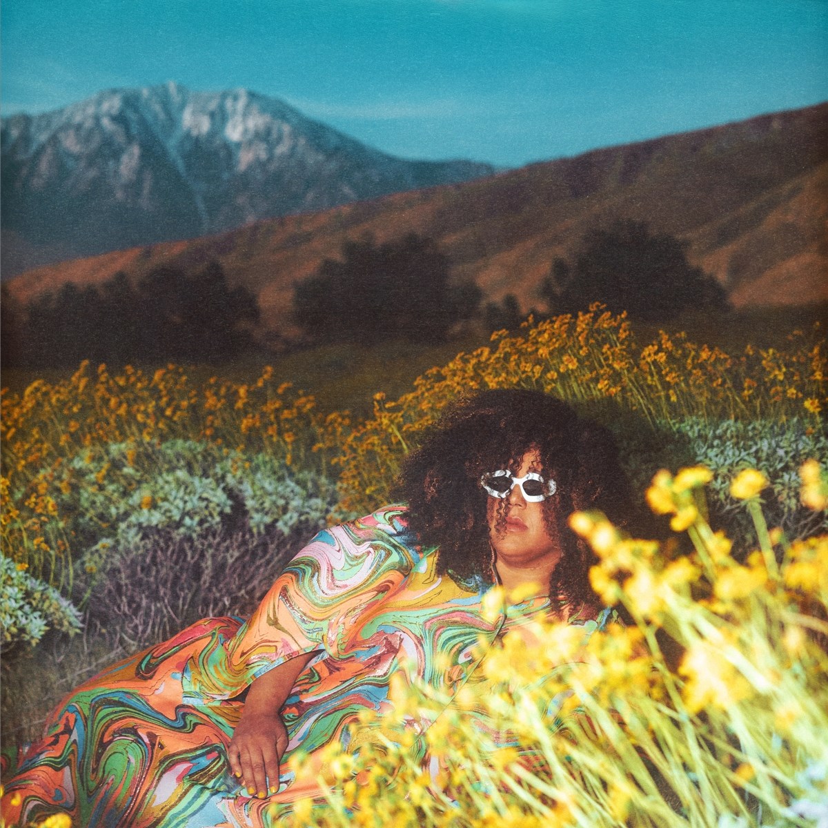 Afbeelding van Brittany Howard - What Now