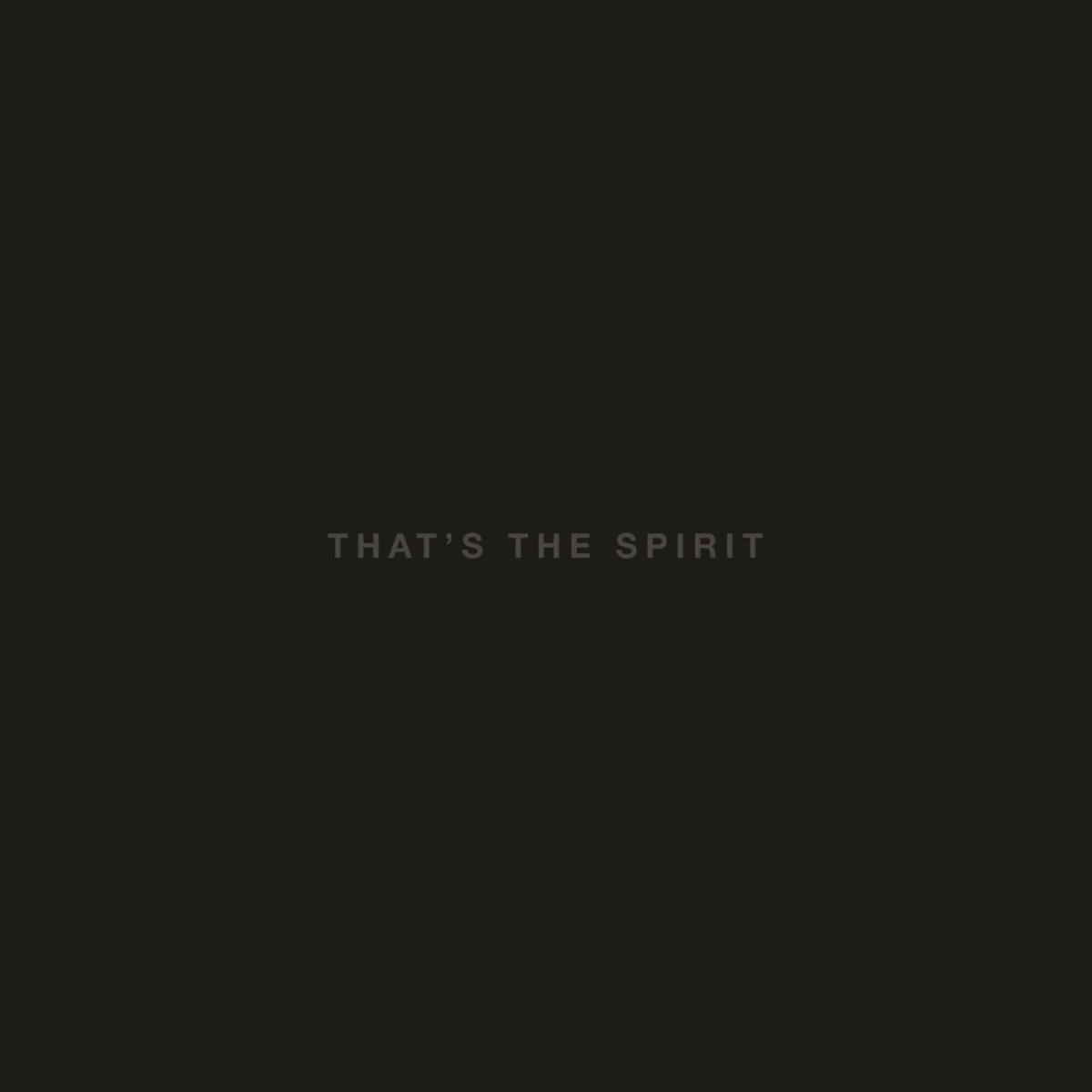 Afbeelding van Bring Me The Horizon - That's The Spirit