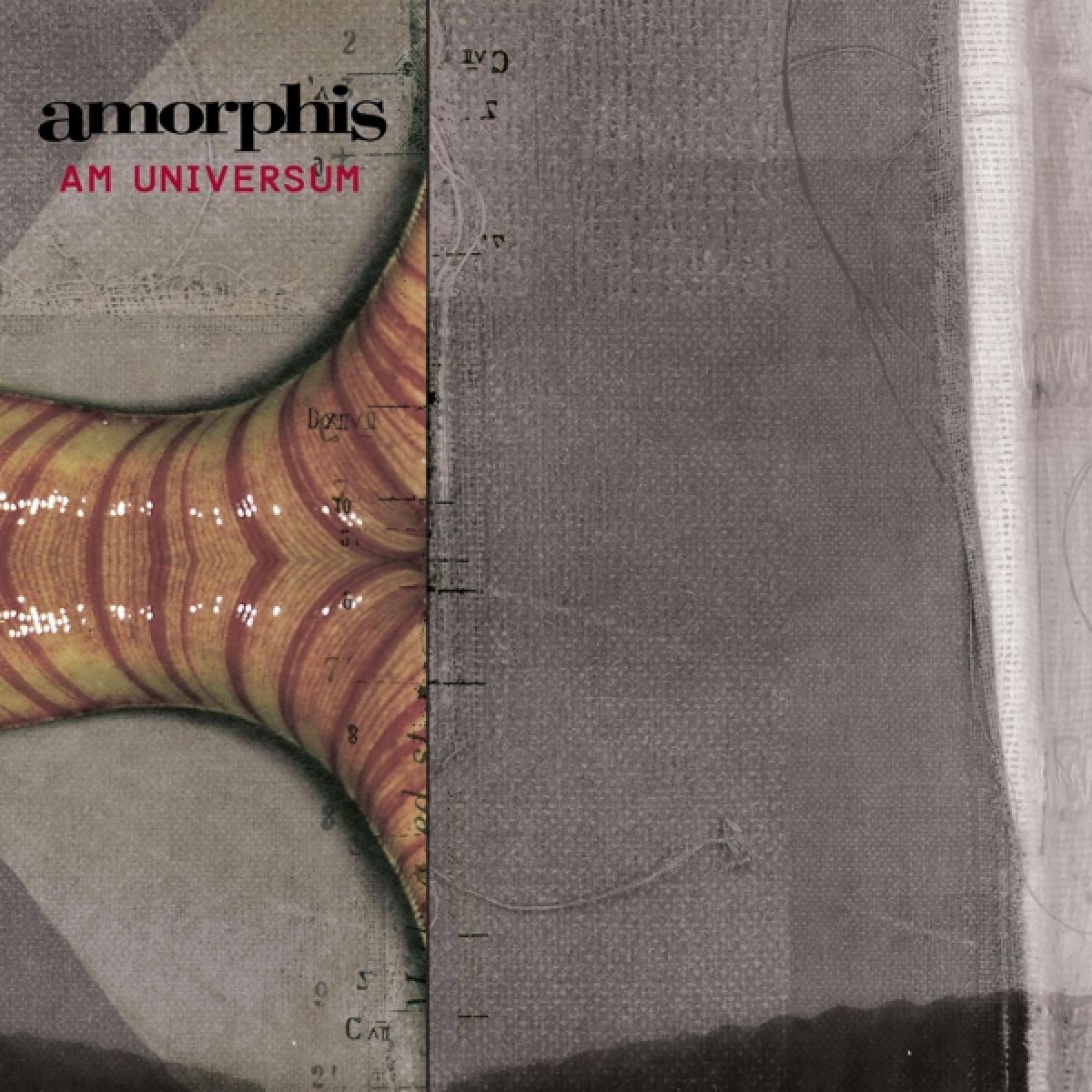 Afbeelding van Amorphis - Am Universum