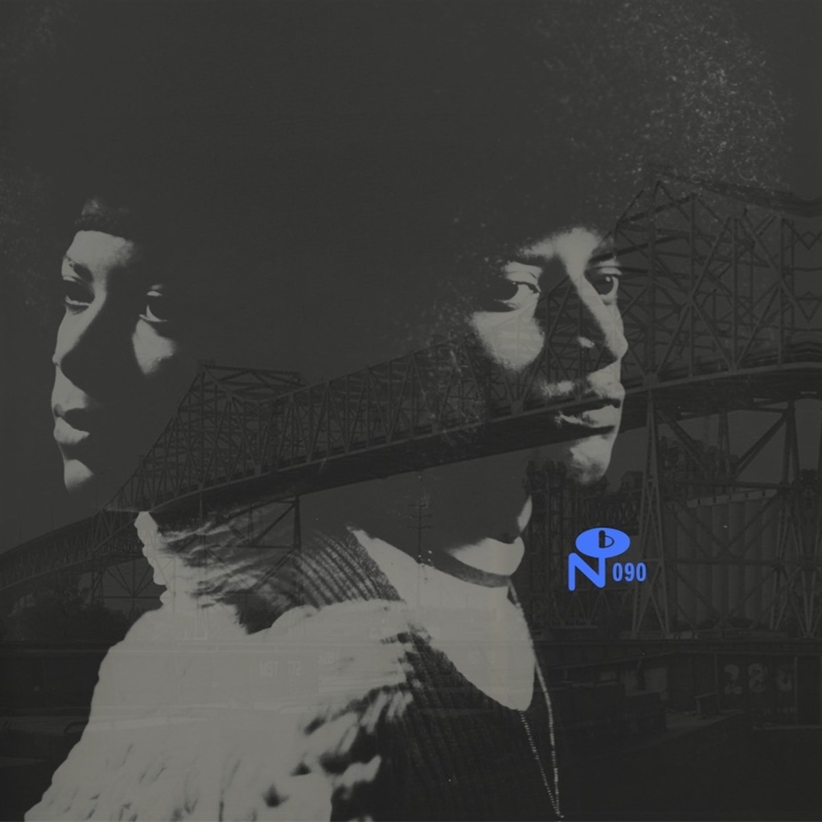 Afbeelding van Various Artists - Skyway Soul: Gary, Indiana