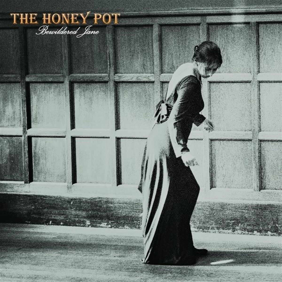 Afbeelding van The Honey Pot - Bewildered Jane