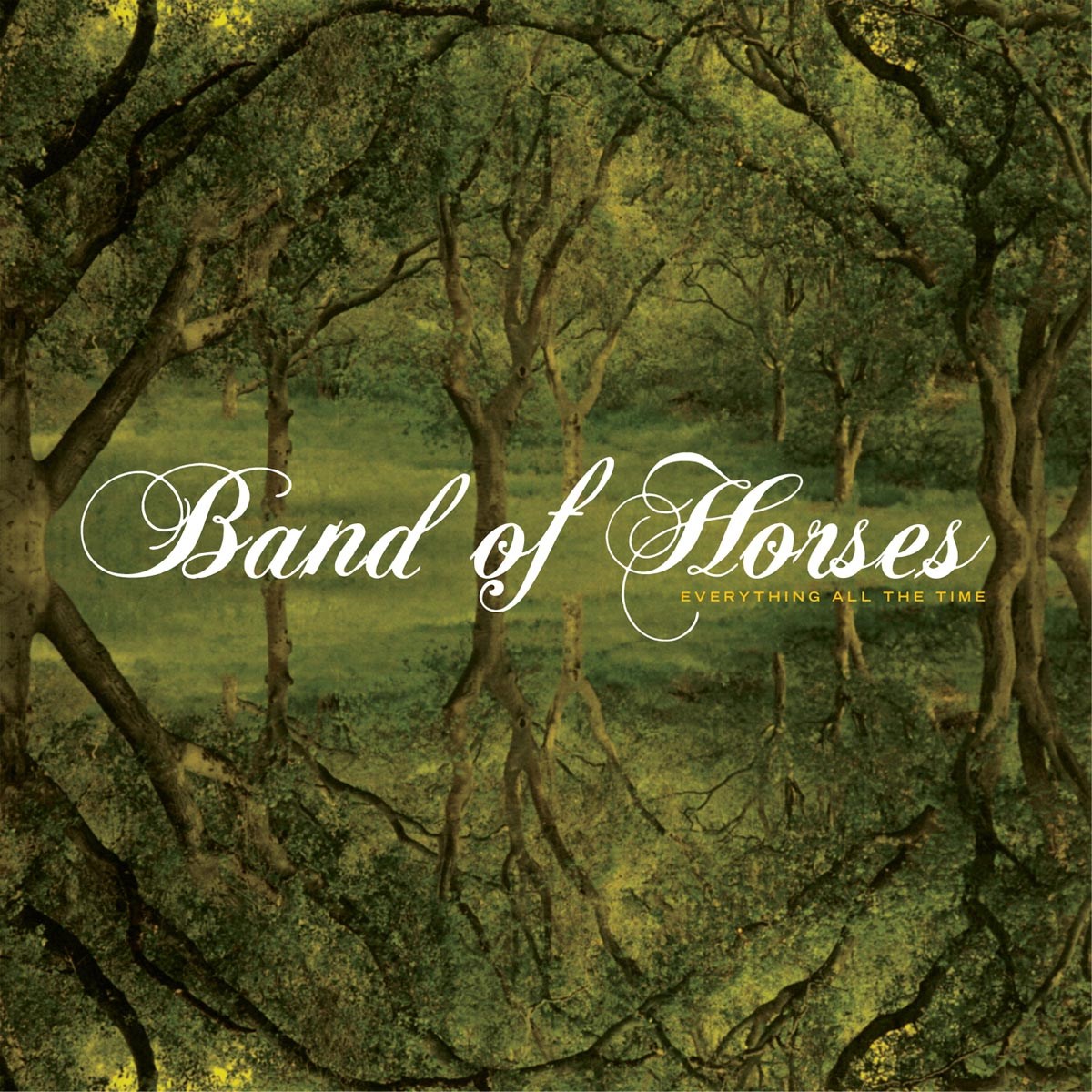 Afbeelding van Band Of Horses - Everything All The Time