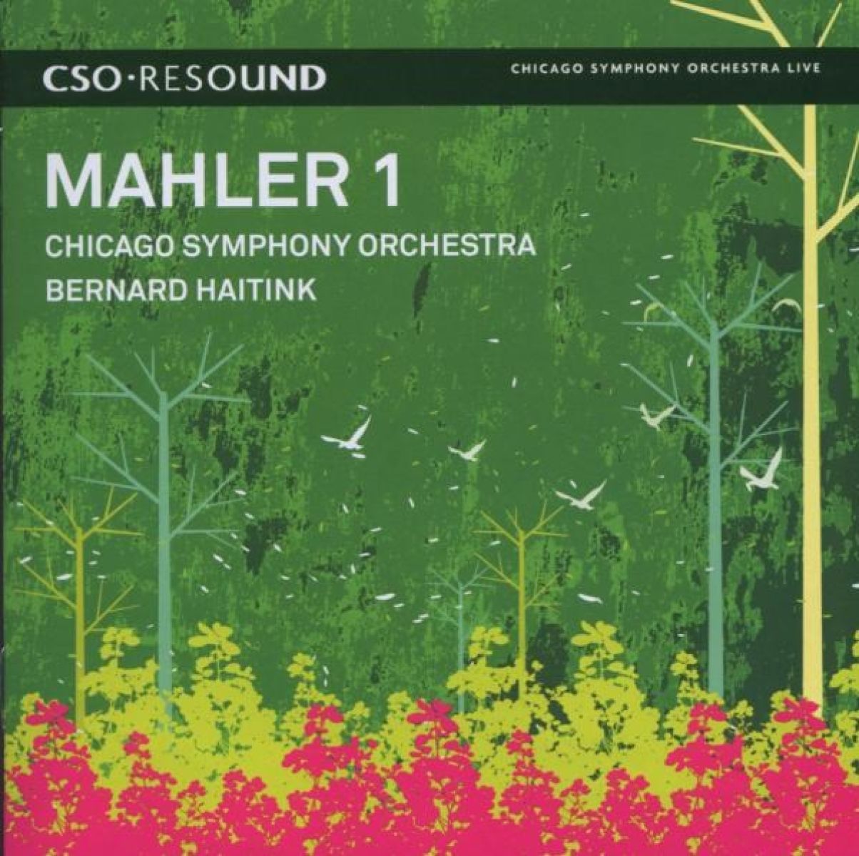 Afbeelding van Chicago Symphony Orchestra, Bernard Haitink - Mahler: Symphonie No 1
