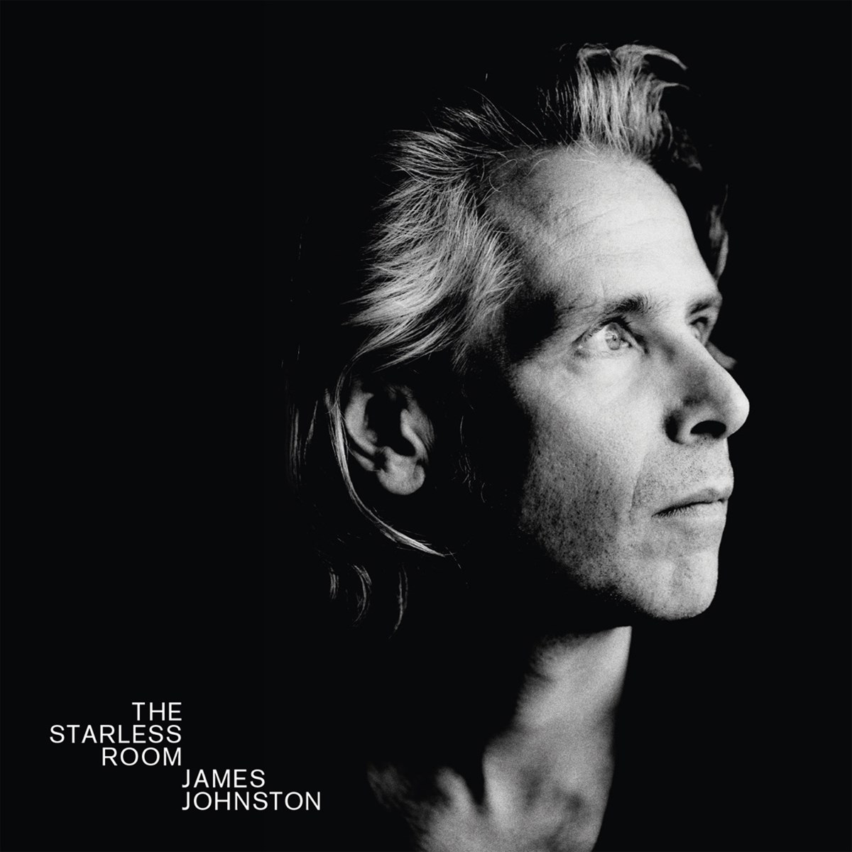 Afbeelding van James Johnston - The Starless Room