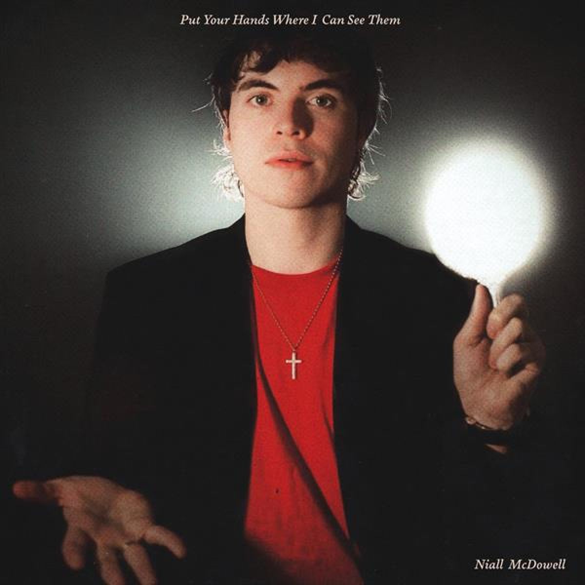 Afbeelding van Niall McDowell - Put Your Hands Where I Can See Them