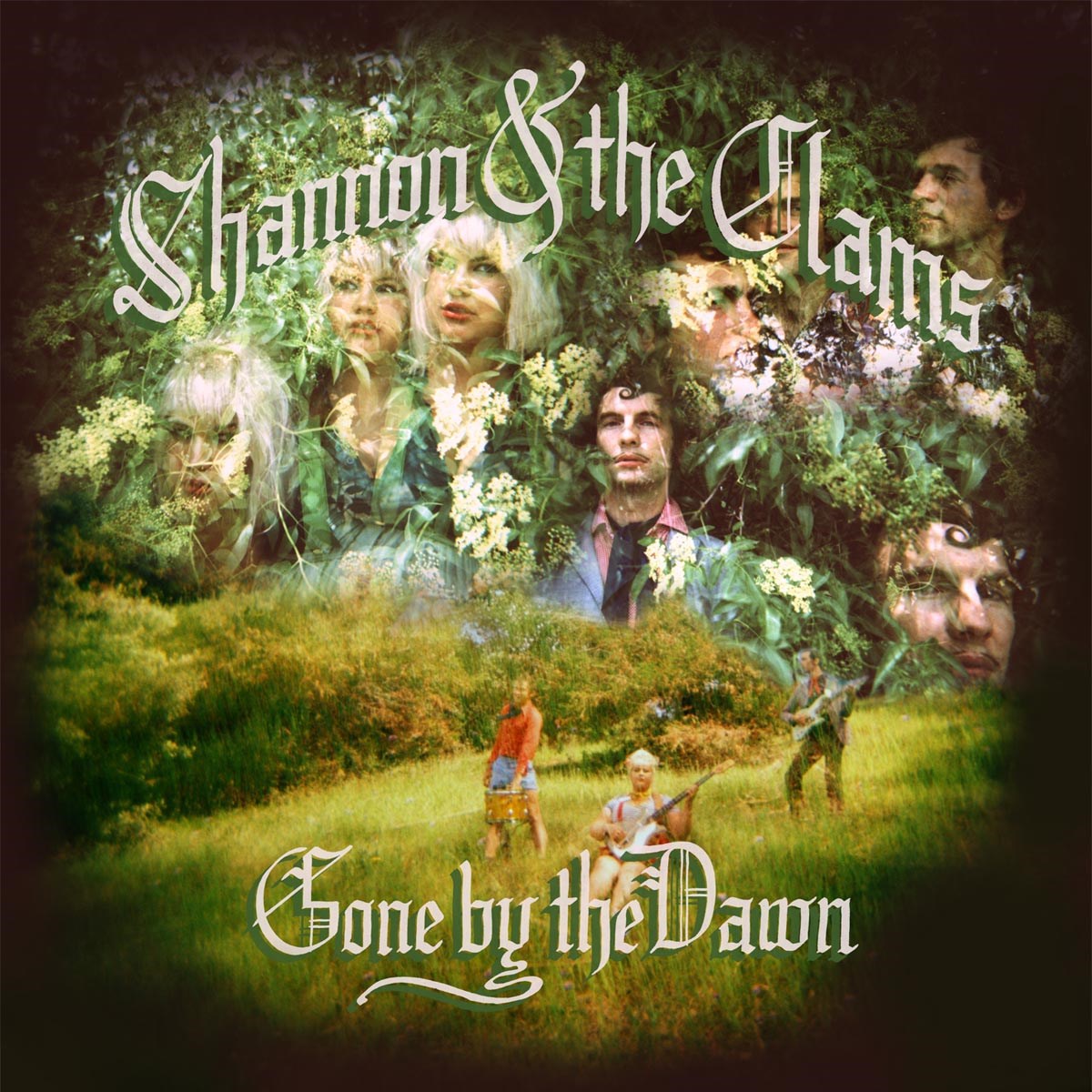 Afbeelding van Shannon & The Clams - Gone By The Dawn